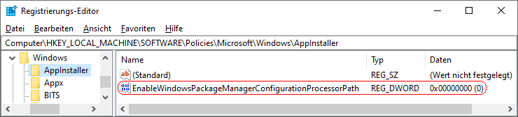 EnableWindowsPackageManagerConfigurationProcessorPath