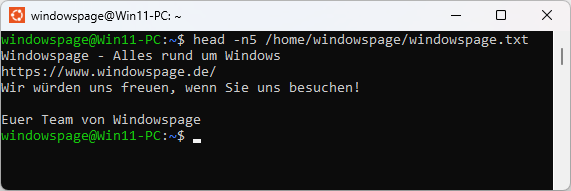 head -n5 /home/windowspage/windowspage.txt