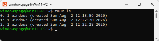 tmux ls