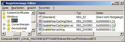 DisablePeerCachingServer