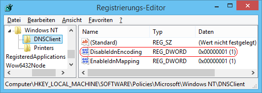 DisableIdnEncoding