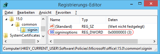 SignInOptions